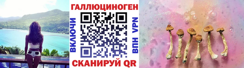 Псилоцибиновые грибы Magic Shrooms  где продают наркотики  Павловская 